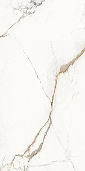  Unique Marble Paonazzetto Lappato 60x120 / Унике Марбл Паонаццетто Лаппато 60x120 